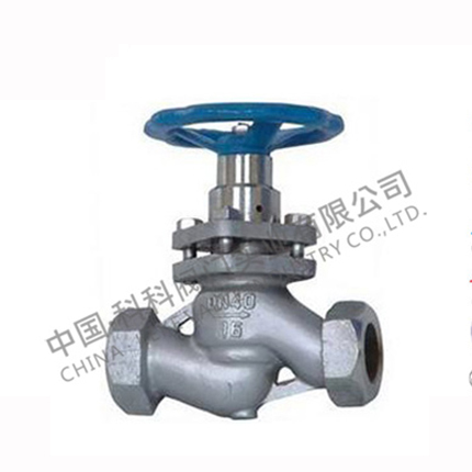 M618X內螺紋柱塞閥